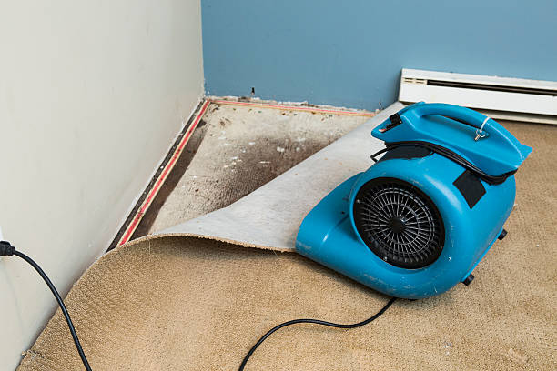 Best Water damage restoration near me  in Muncy, PA